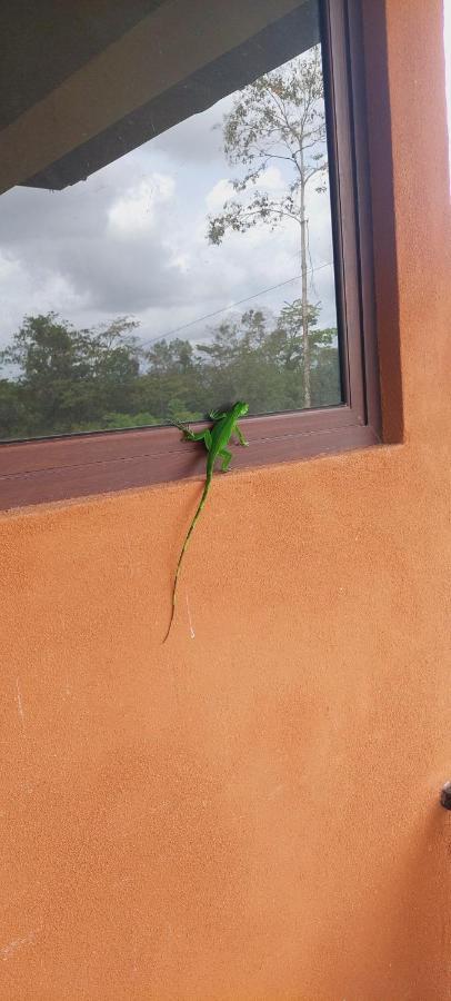 Green Leaf House La Fortuna Bagian luar foto